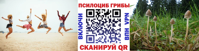 Псилоцибиновые грибы MAGIC MUSHROOMS  darknet состав  Назарово 