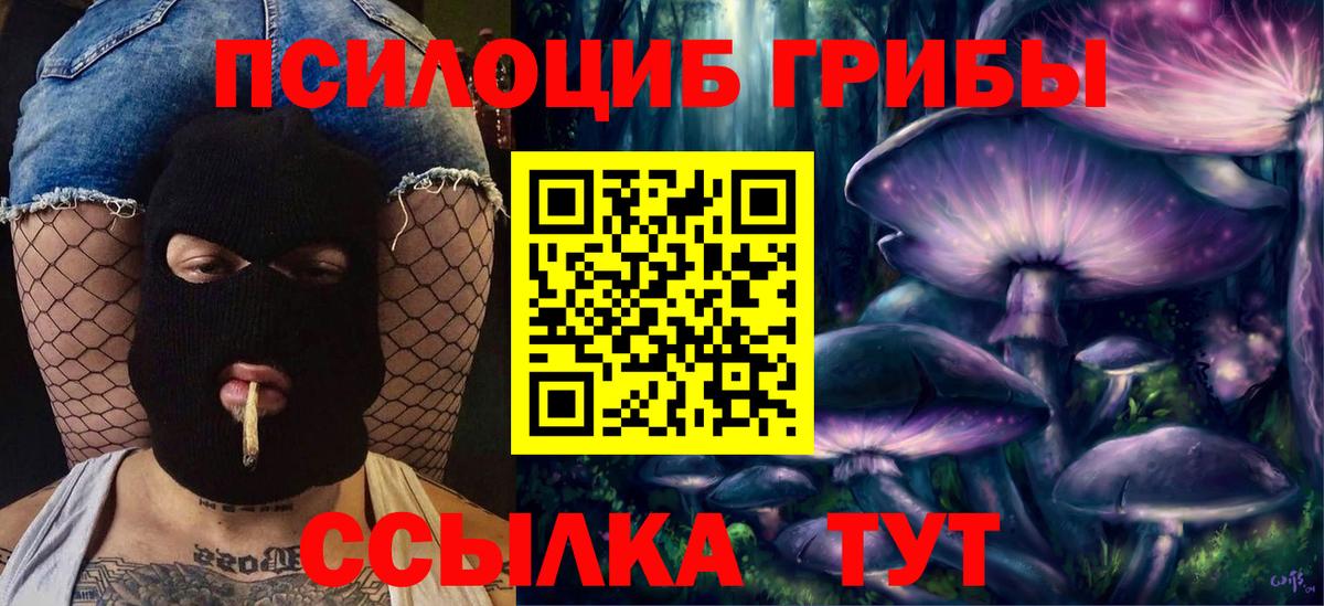 Псилоцибиновые грибы GOLDEN TEACHER Назарово