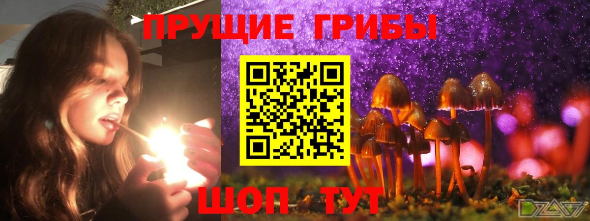 Псилоцибиновые грибы Psilocybe  Галлюциногенные грибы прущие грибы  Вход с VPN  Назарово 