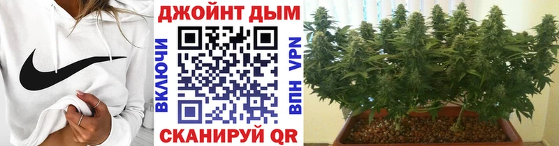 Каннабис индика Назарово